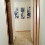 Fuerte 2